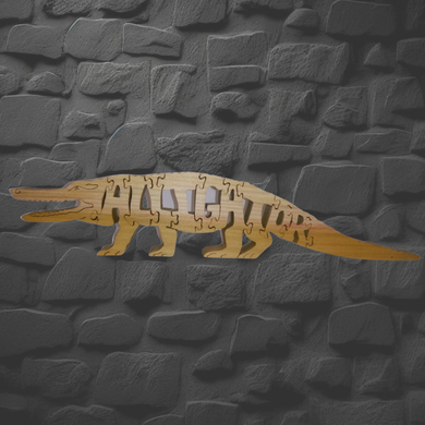 Alligator