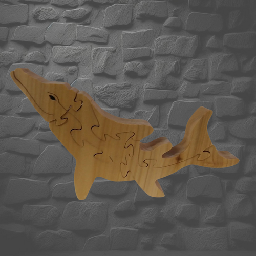 Ichthyosaur