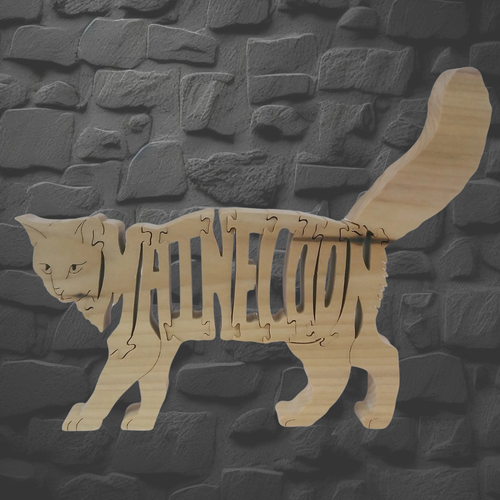 Mainecoon (cat)