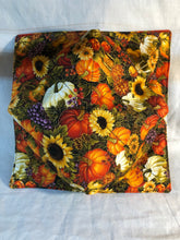 Load image into Gallery viewer, Harvest pumpkin plate cozies