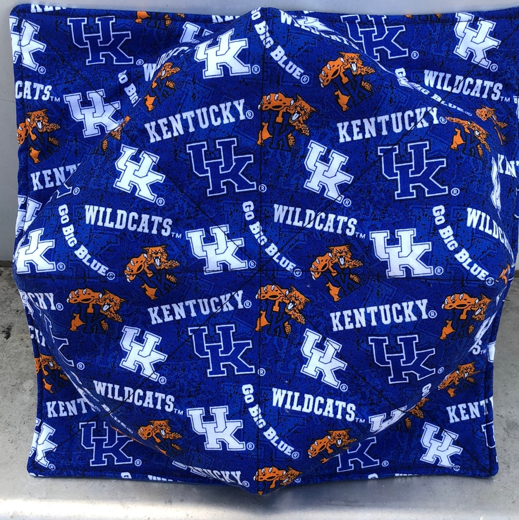 UK Plate Cozie #2